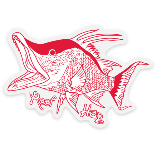 Reel Fishy Hogfish "Reef Hog" 3in Vinyl Decal